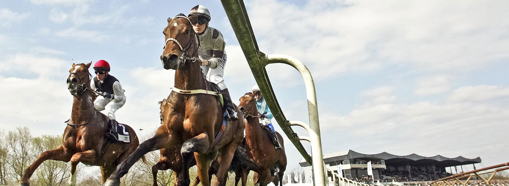 Jockeys auf Ihren Pferden in Aktion